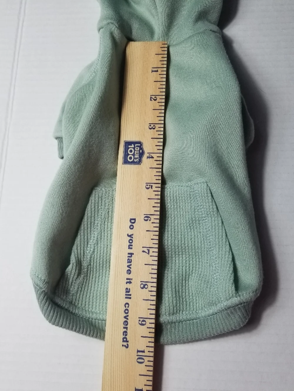 BOOTS & BARKLEY DOG GREEN HOODIE SIZE SMALL